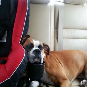 Meet your Posher, Gabrielle